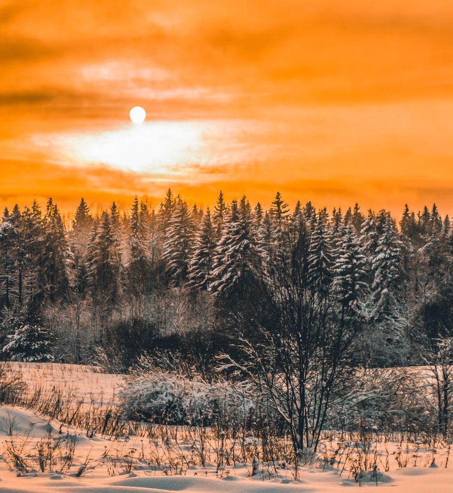 Фотография автора Иван Комаров