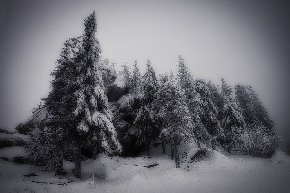 Зимний этюд.