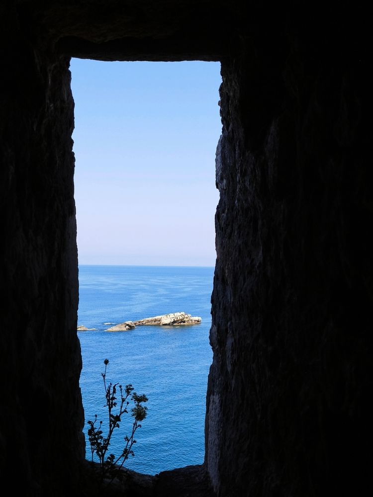 Фотография автора JELENA VASIC