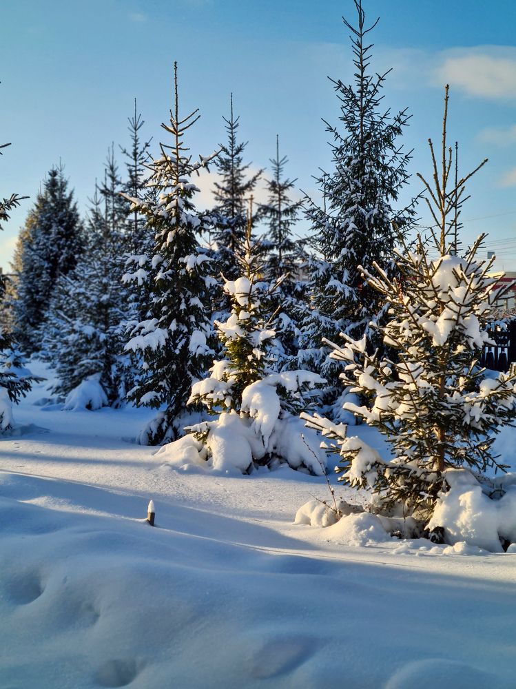 Photograph by Людмила Григорьева