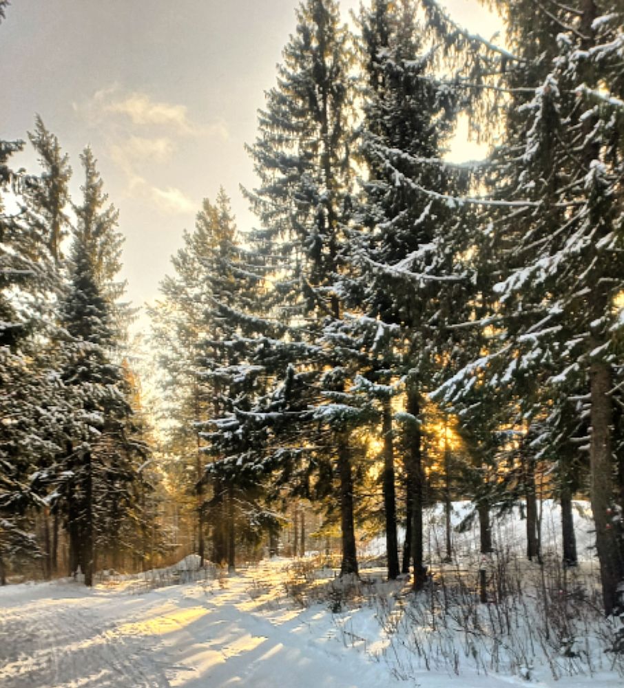 Photograph by Евгения Трубкина