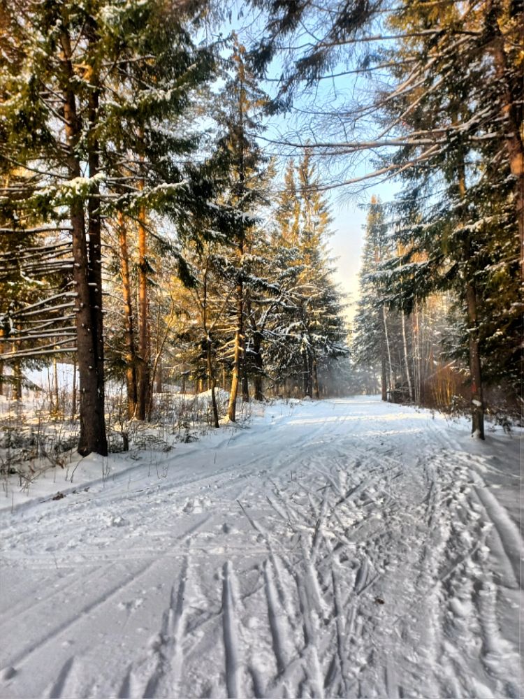 Photograph by Евгения Трубкина