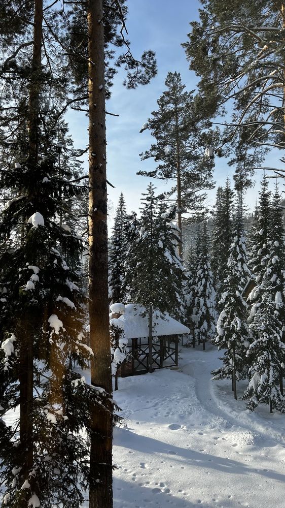 Photograph by Ирина Барышева