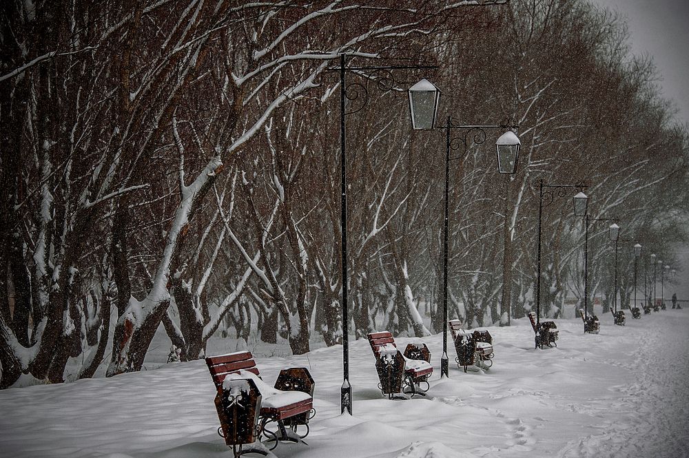 Photograph by Ирина Регульская