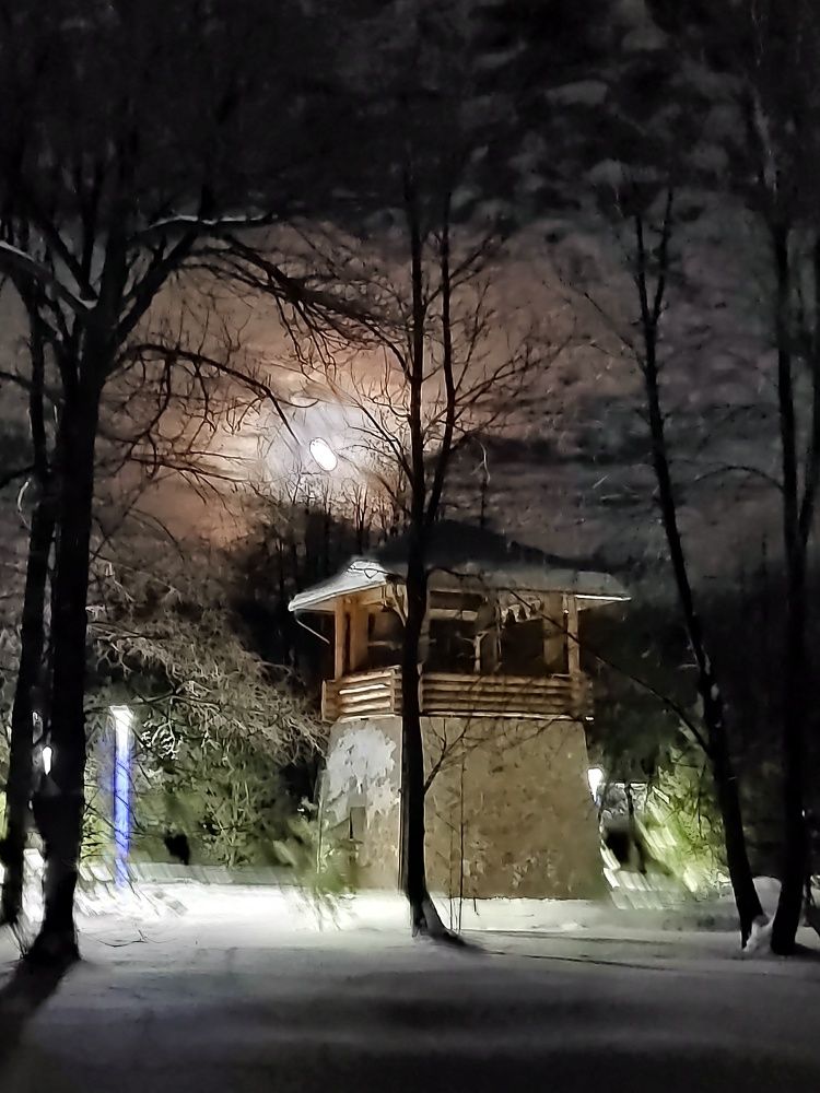 Photograph by Тася