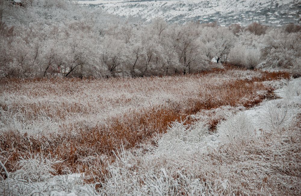 Photograph by Ирина Регульская