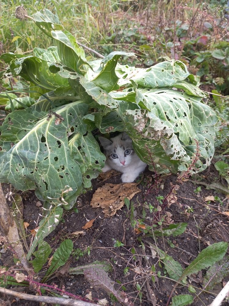 Photograph by Евгения Трубкина