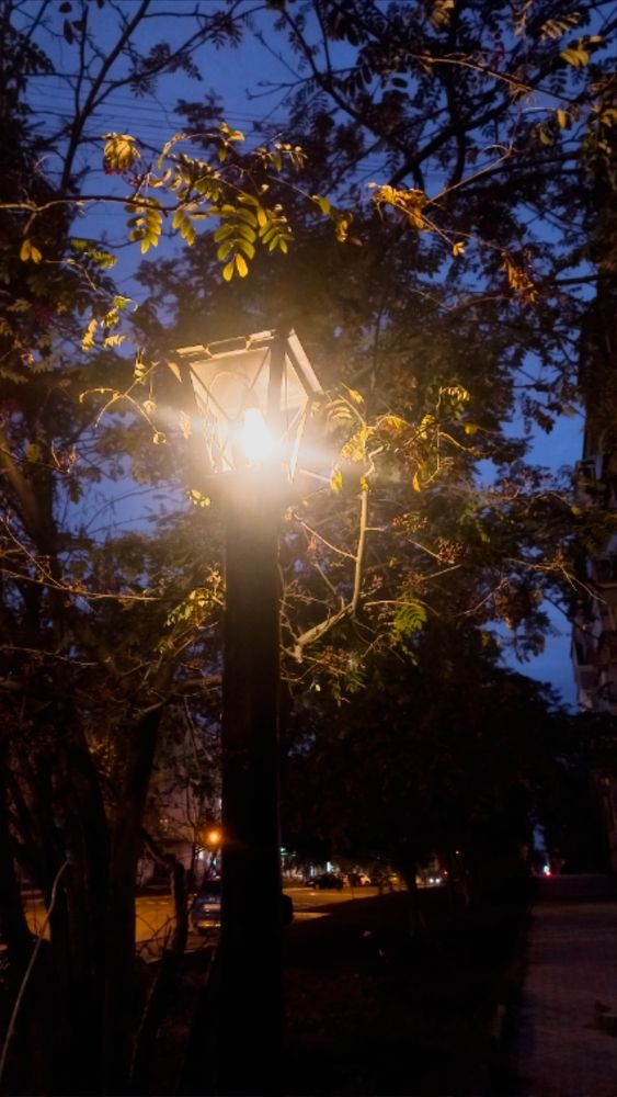 Photograph by Евгения Трубкина