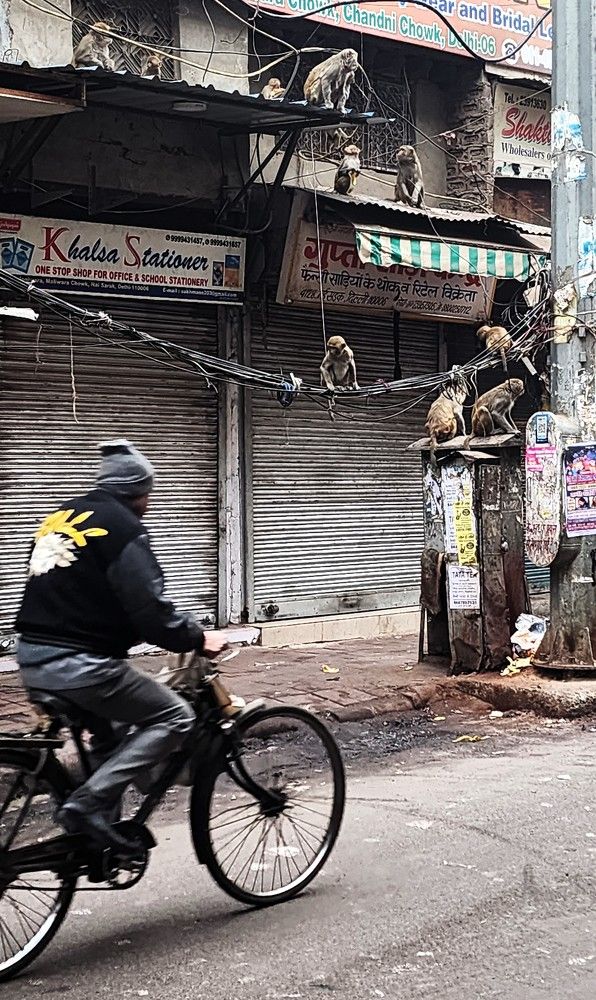 Photograph by G GOVIL