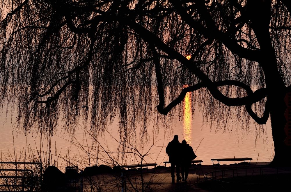 Photograph by Pirpy A