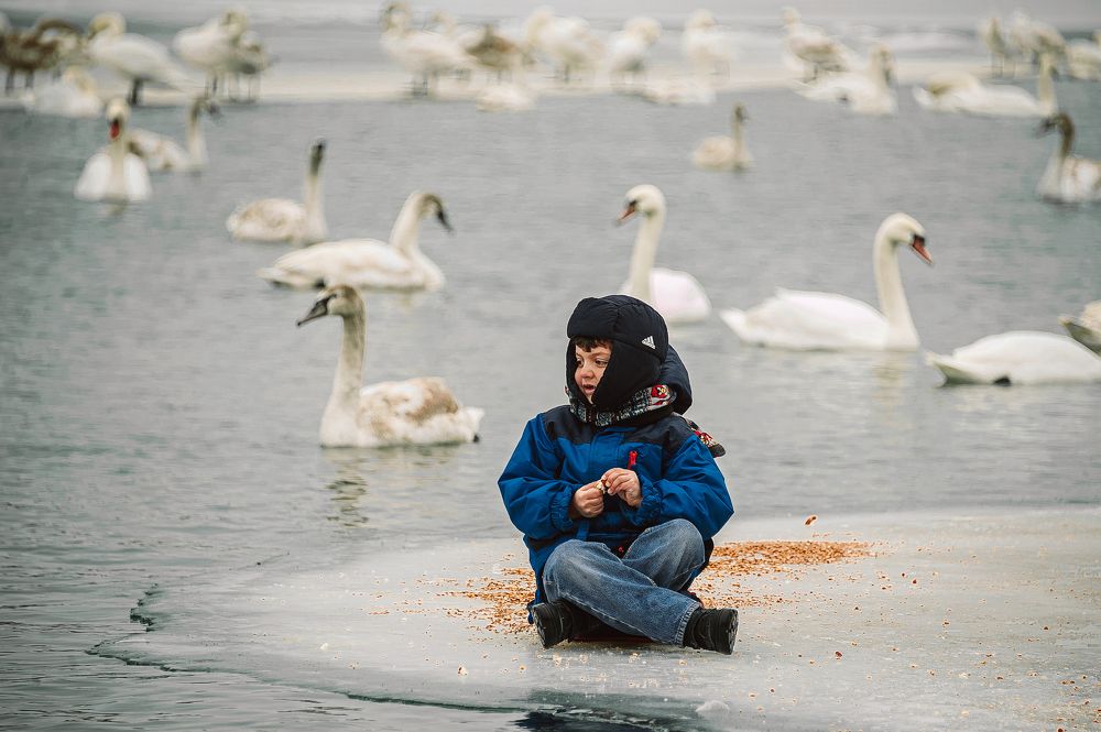 Photograph by Ирина Регульская