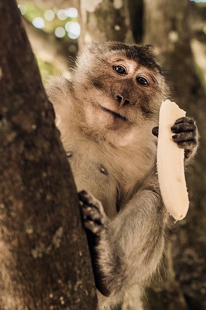 Photograph by Ольга Хентова