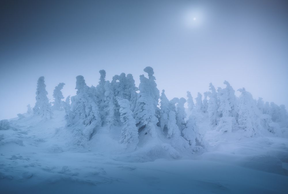 Photograph by Силантьев Даниил