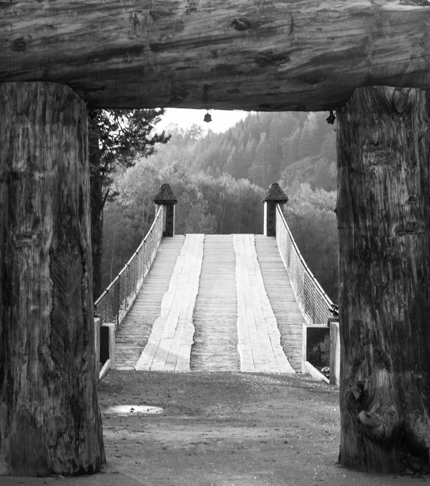 Photograph by Михаил Бояркин