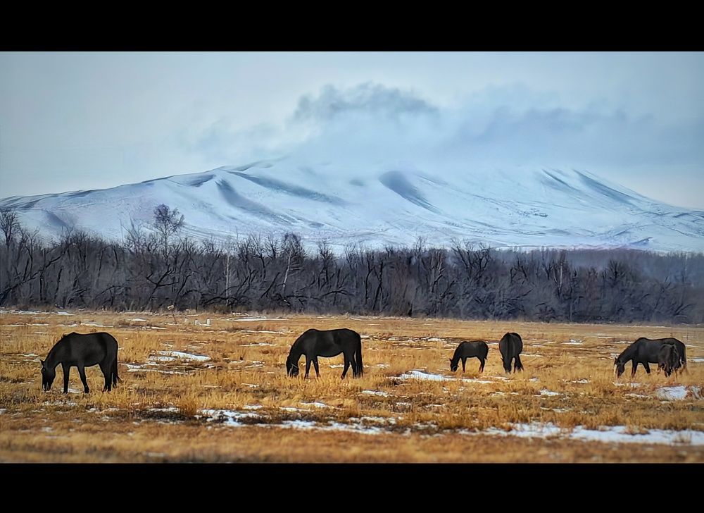 Photograph by Сергей Зайцев