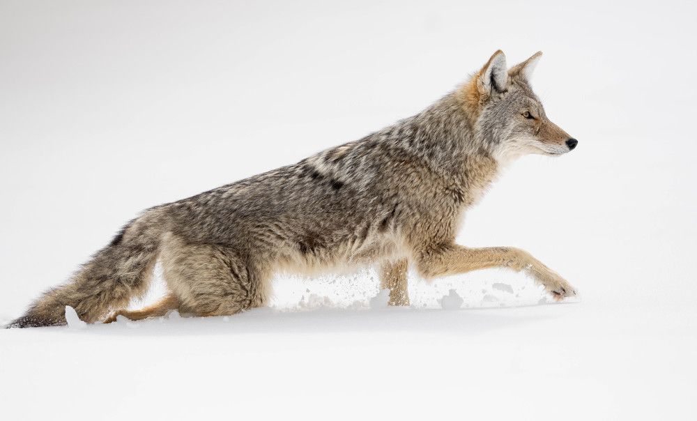 Фотография автора Michelle McConville