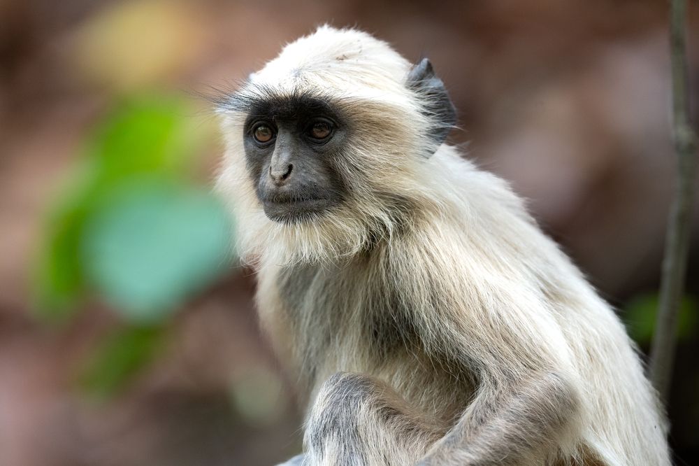 Photograph by Michelle McConville