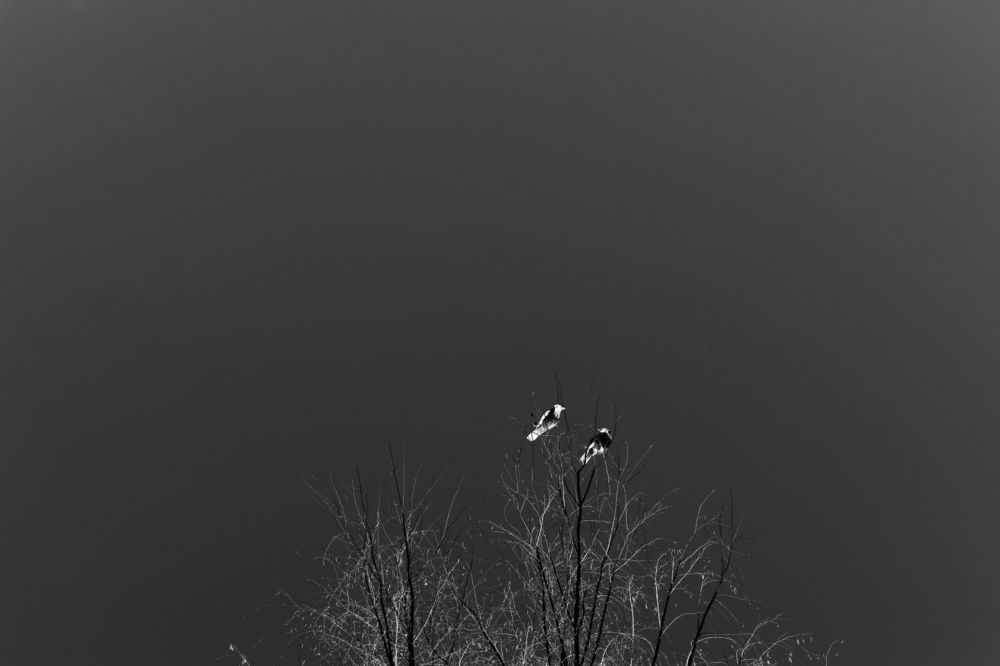 Фотография автора Анастасия Анисова