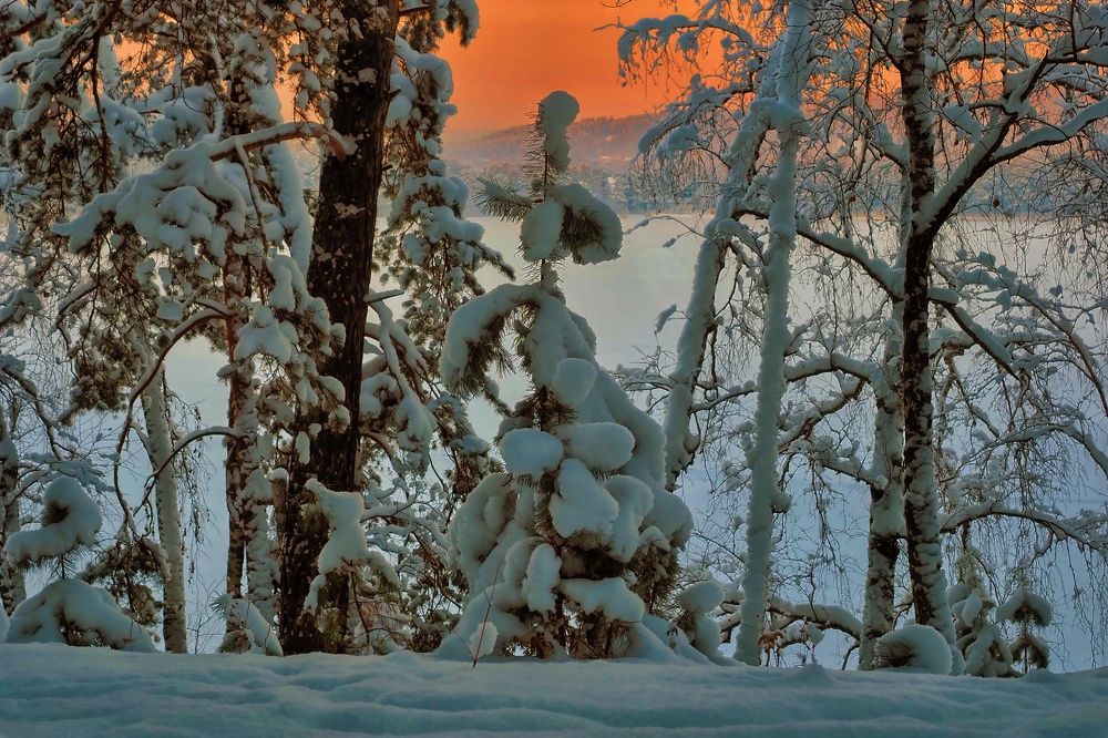 Photograph by Виктор