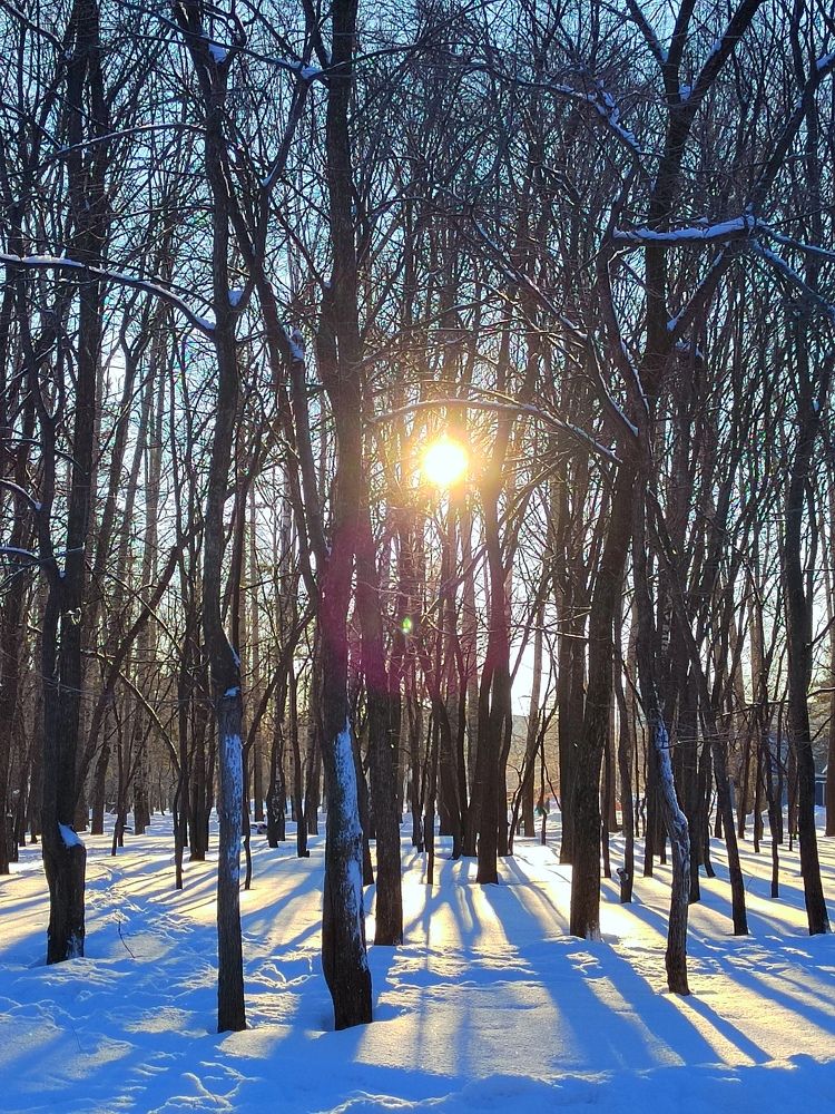 Photograph by Тася