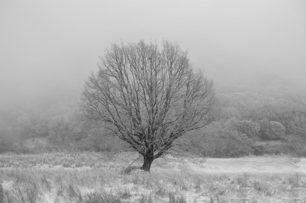 Photograph by paulos stefopoulos