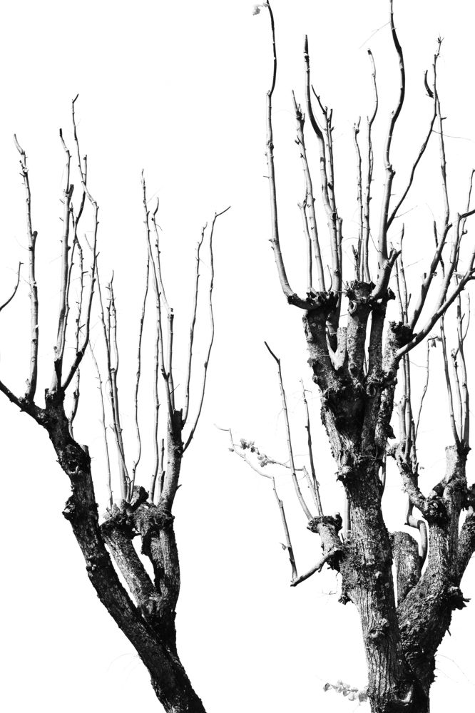 Photograph by Александра Климук