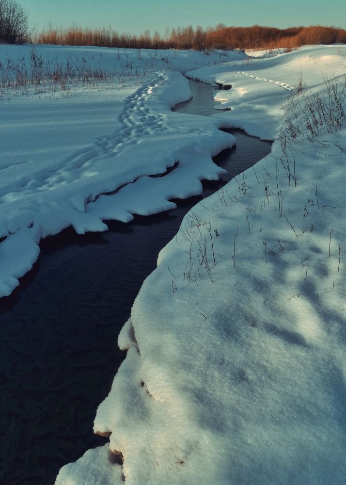 Photograph by Grebnev (DicDoc) Dmitriy