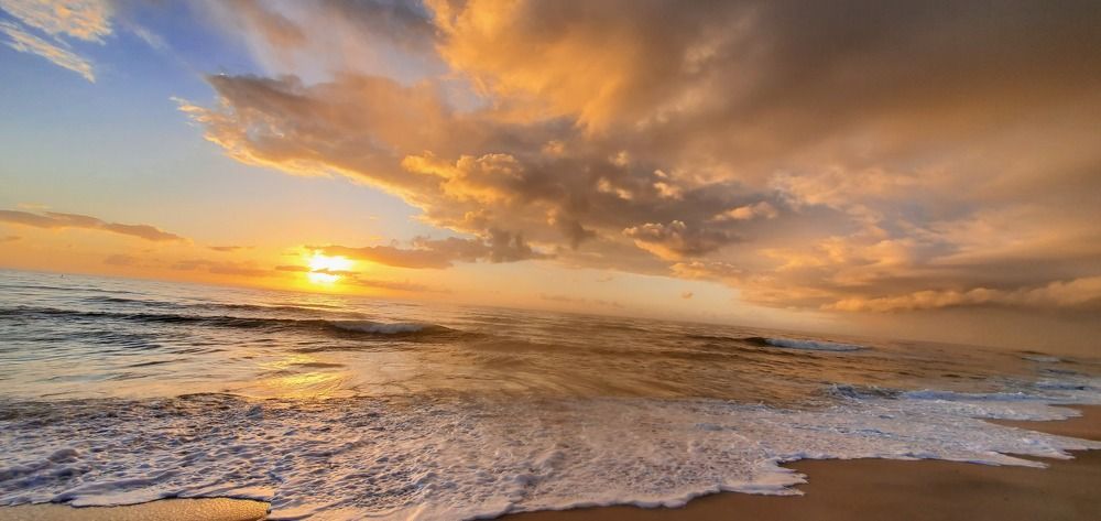 Golden Horizon