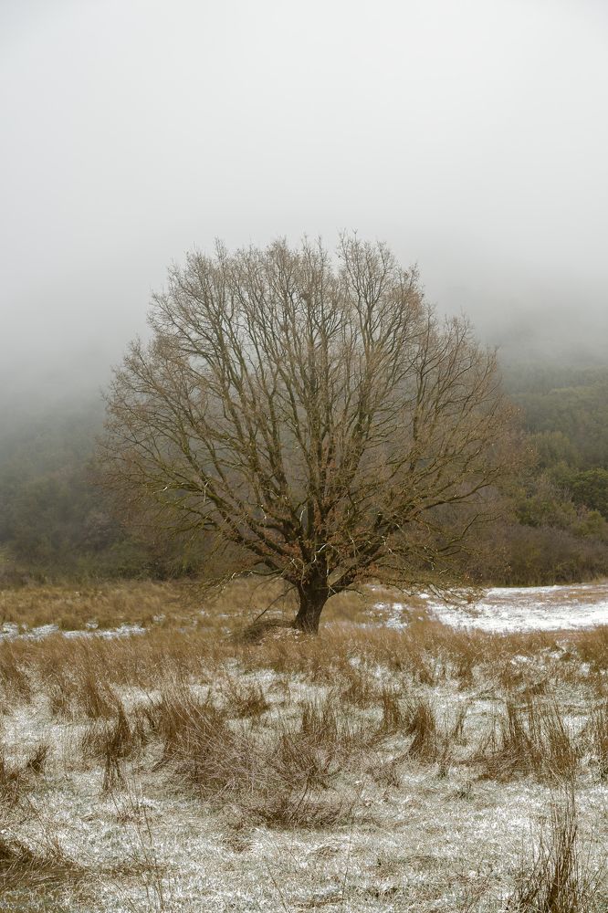 Photograph by paulos stefopoulos