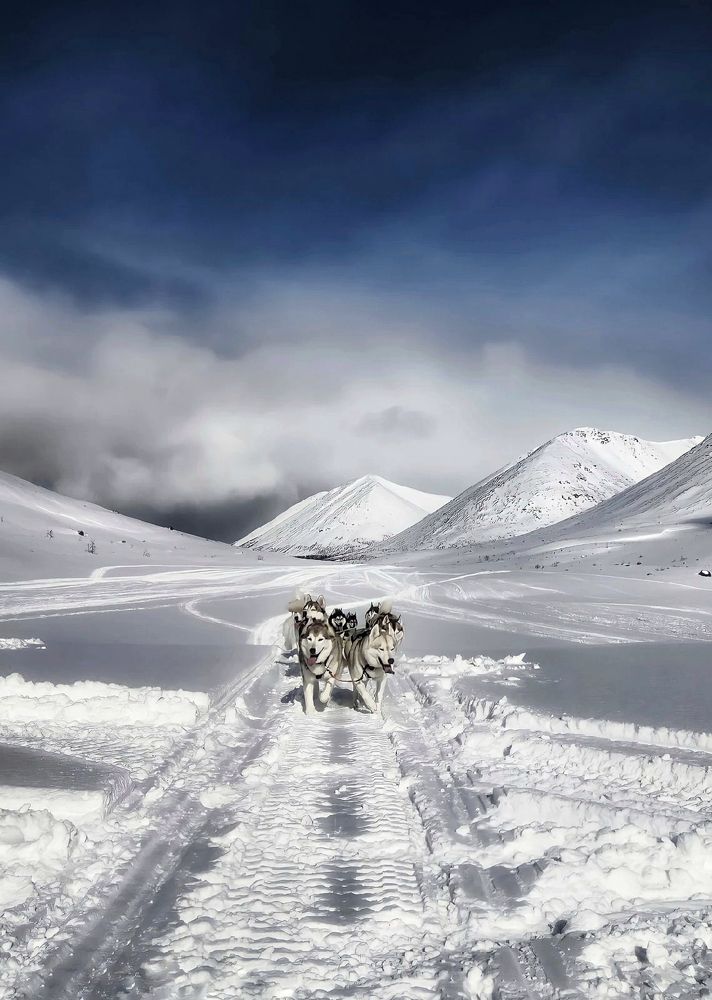 Фотография автора Ольга Маклакова