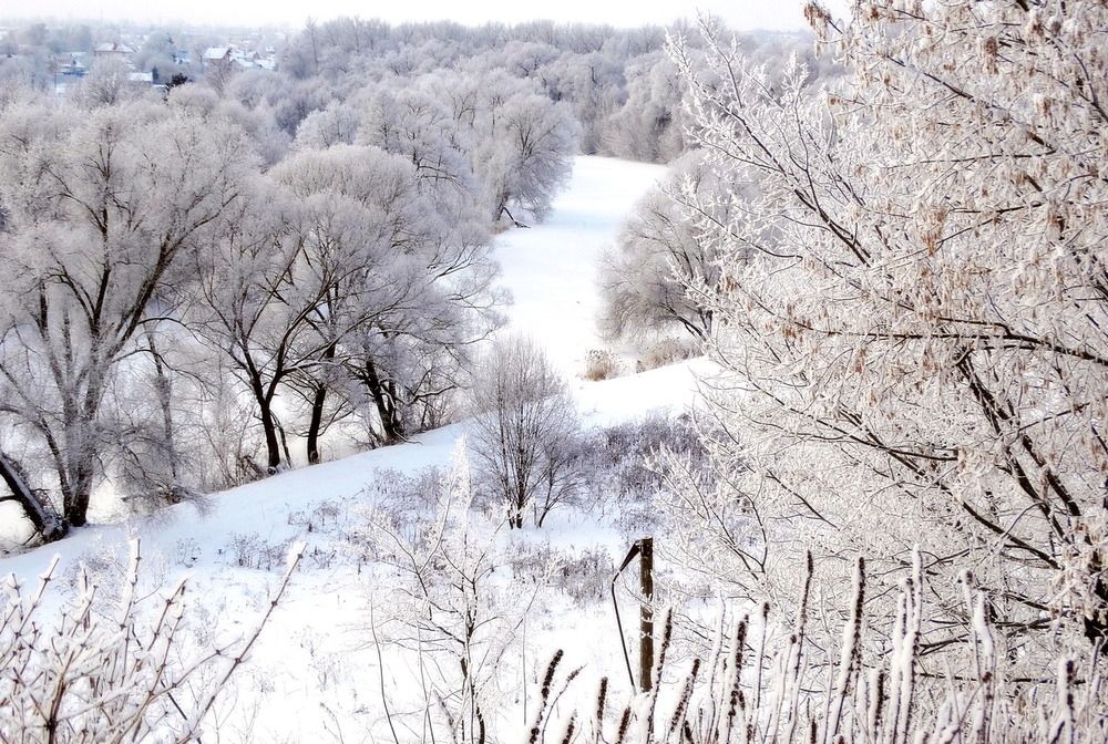 Красивый зимний пейзаж