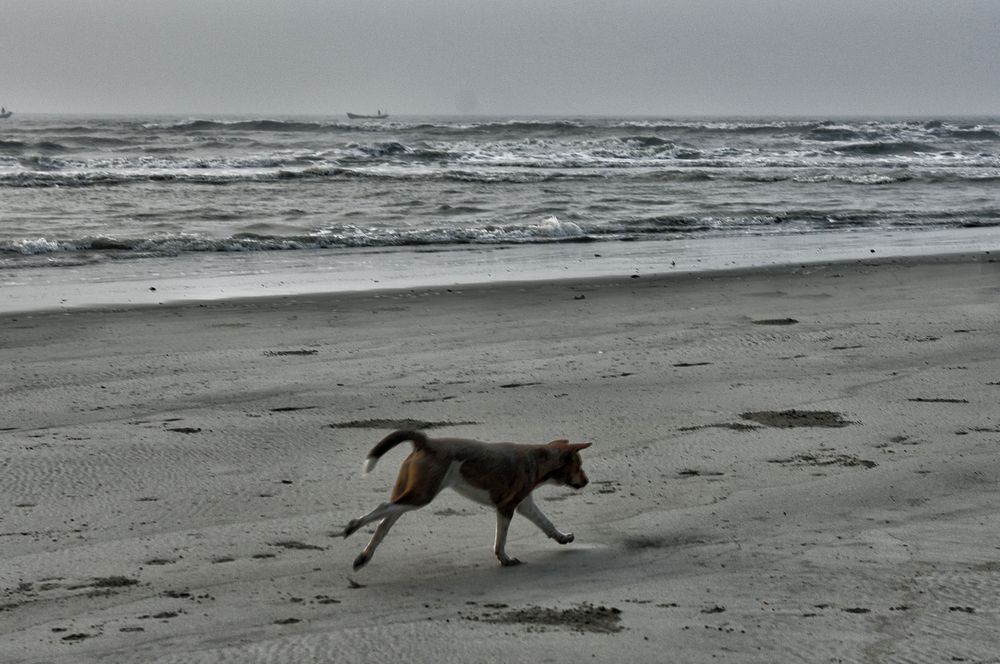 Photograph by Kaushik Dolui