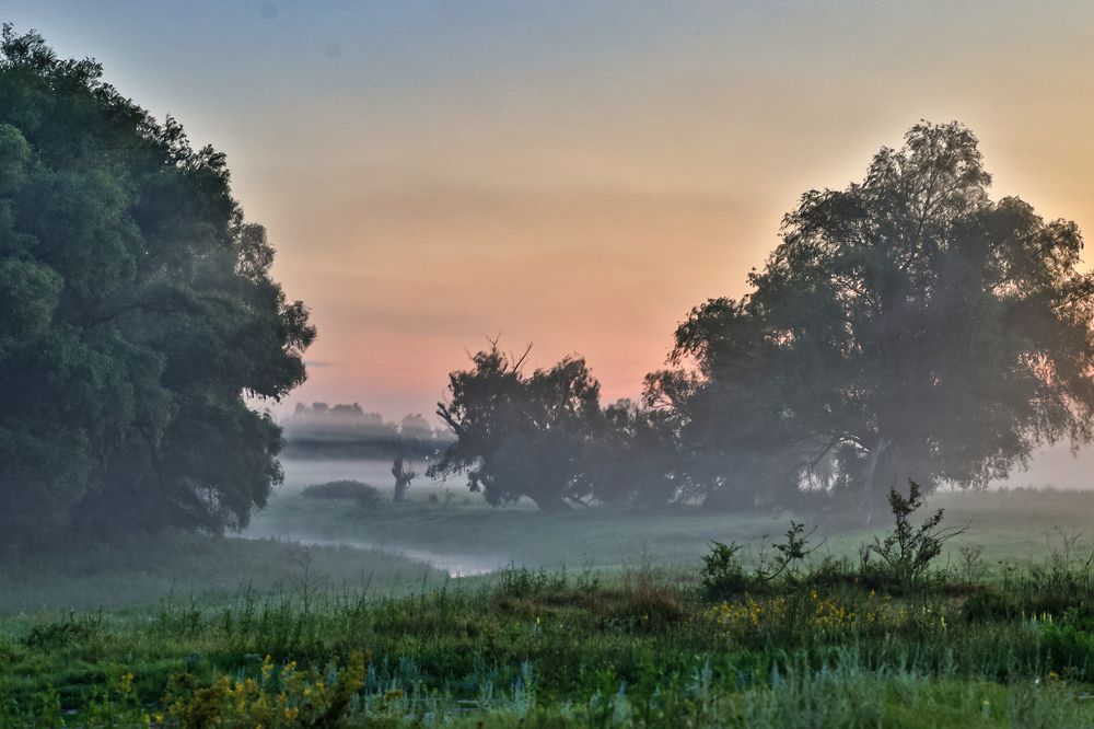 Photograph by Сергей Конюшенко