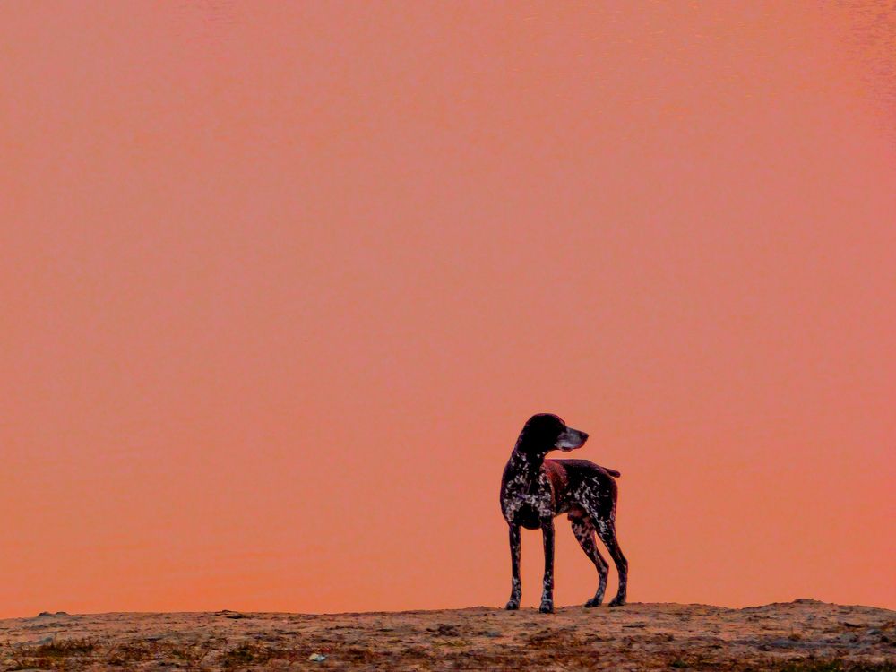 Фотография автора Наталья Бачуринская