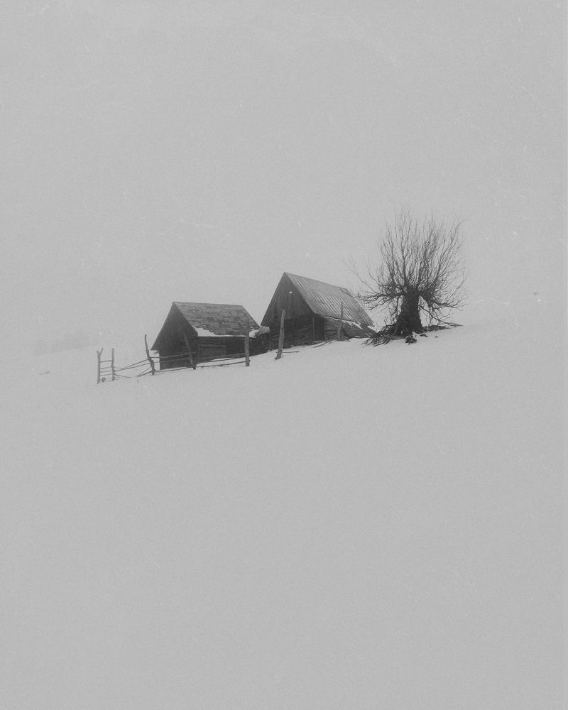 Photograph by Moga Alexandru