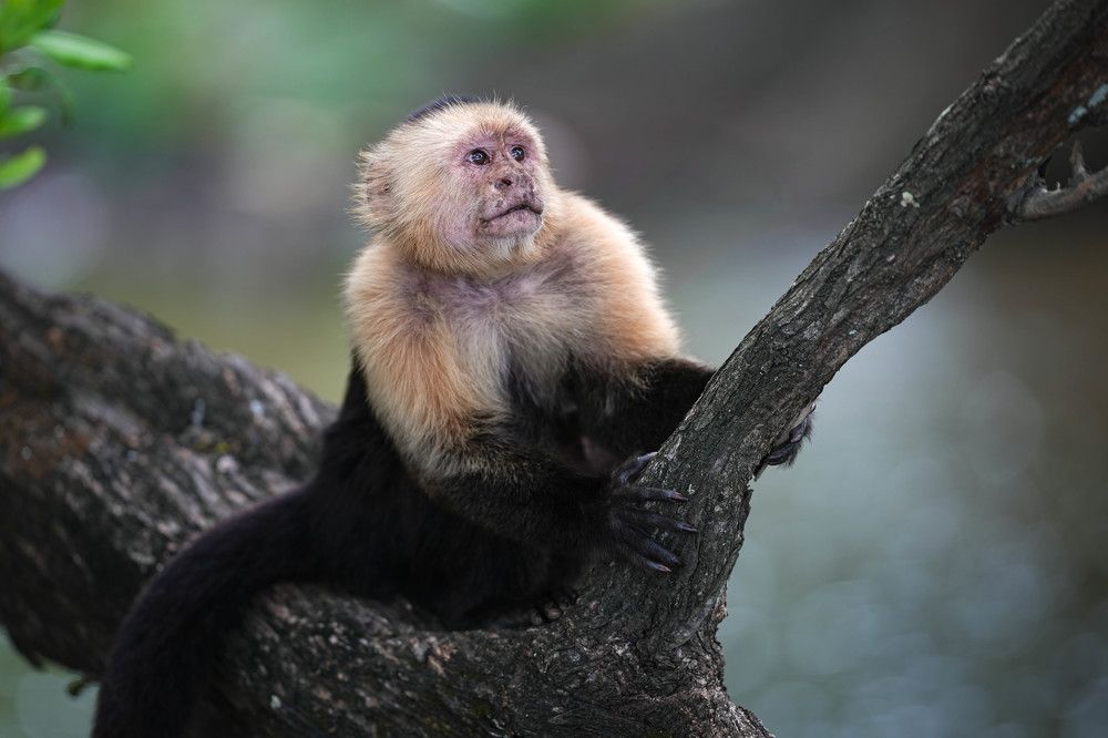 Photograph by Michelle McConville