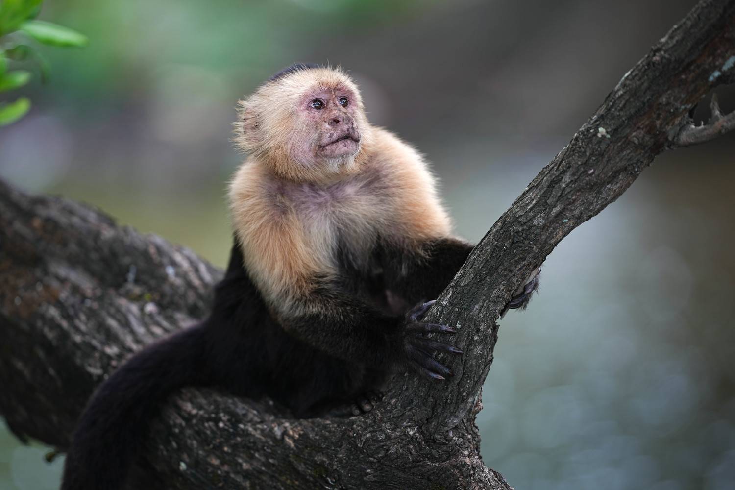 Фотография #11741885