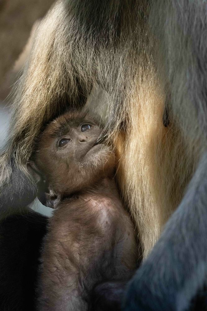 Photograph by Michelle McConville