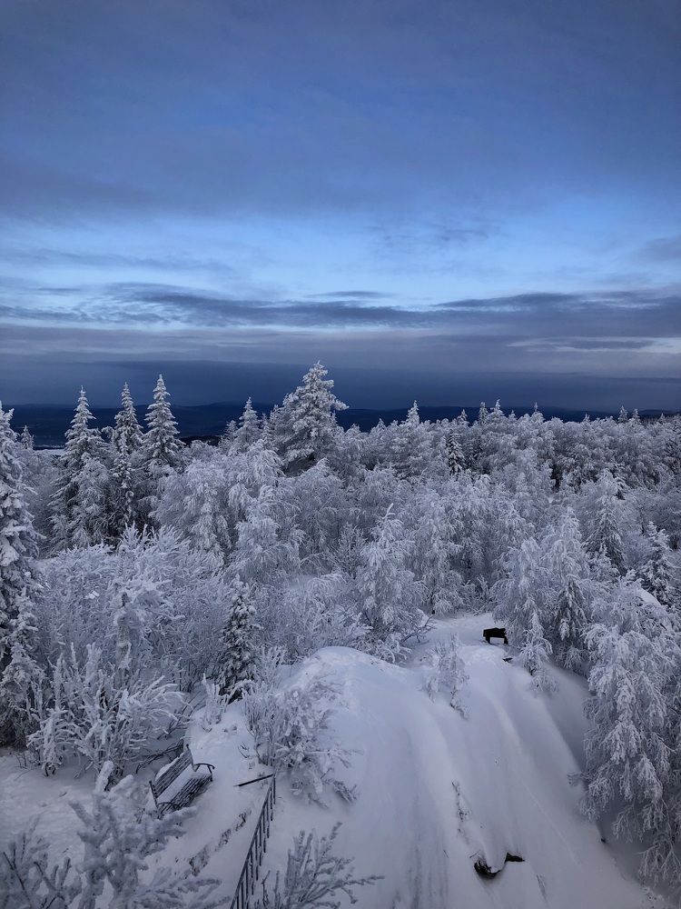 Фотография автора Евгения Елисеева