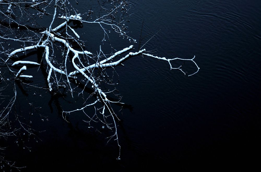 Photograph by Андрей Куликов