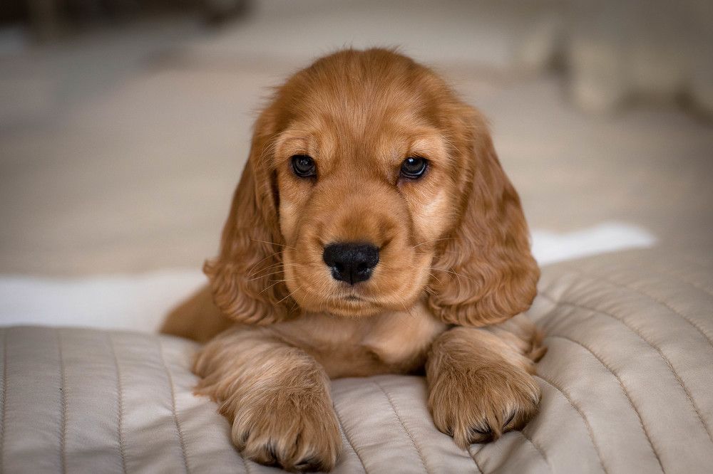 Photograph by Наталья Брюхненко