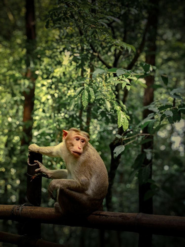 Photograph by Vignesh Pradeep