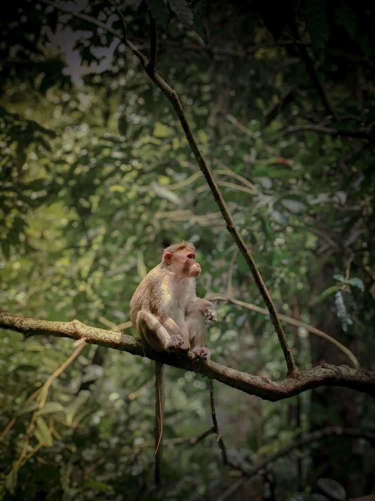 Photograph by Vignesh Pradeep