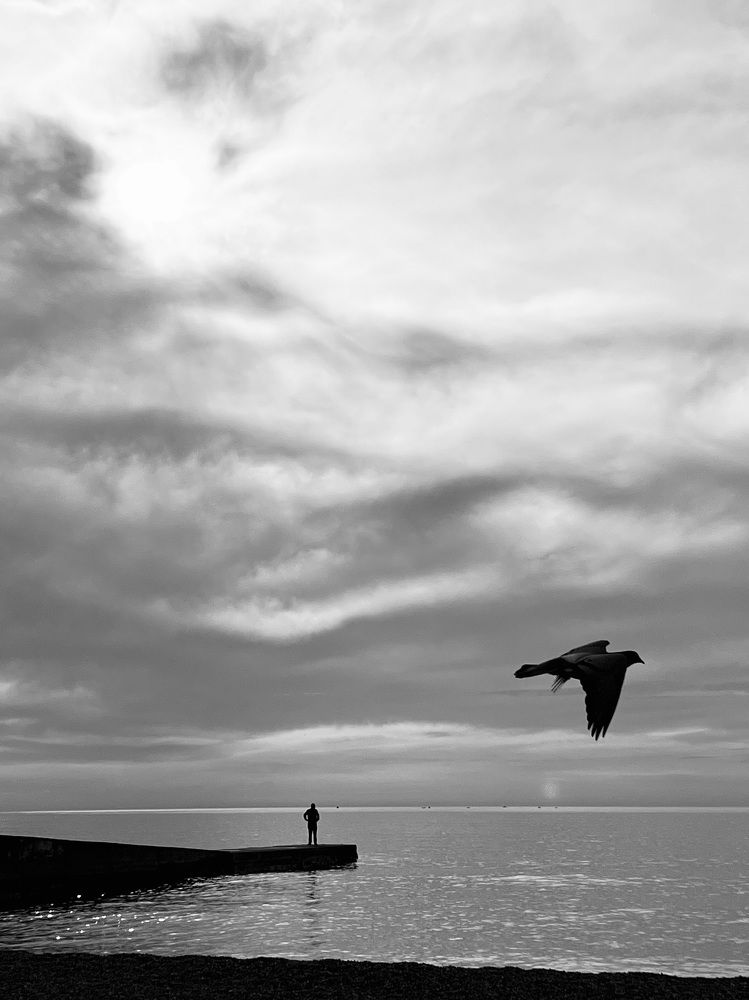 Фотография автора Юлия Яшина