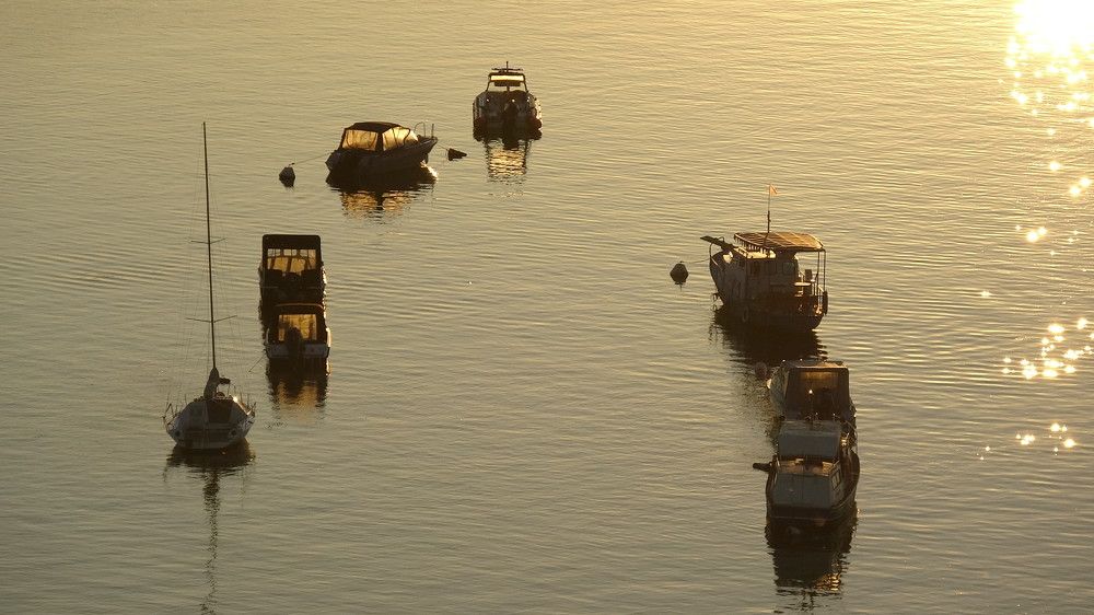 Photograph by Виталий Васильев