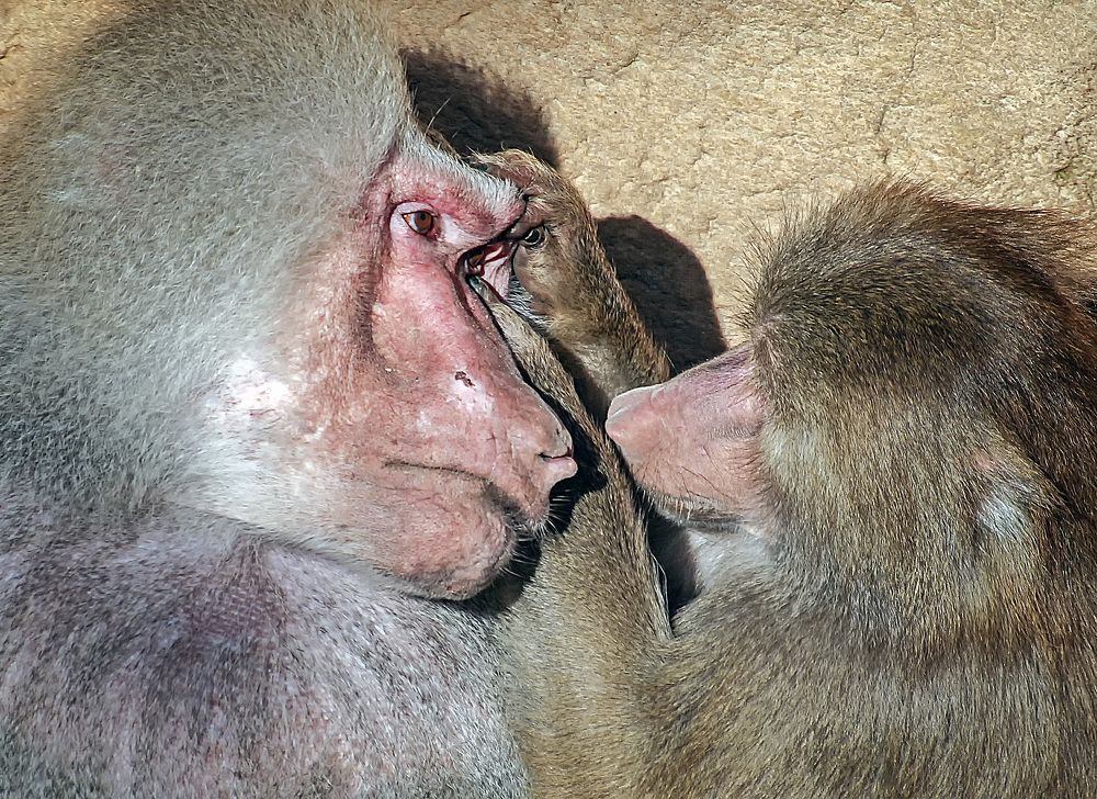 Фотография автора Александр