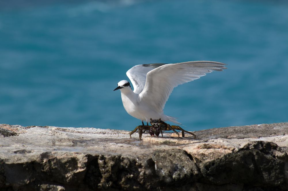 Photograph by Владислав