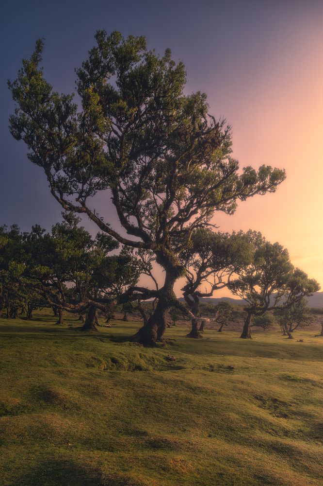 Photograph by Domenico Marrano