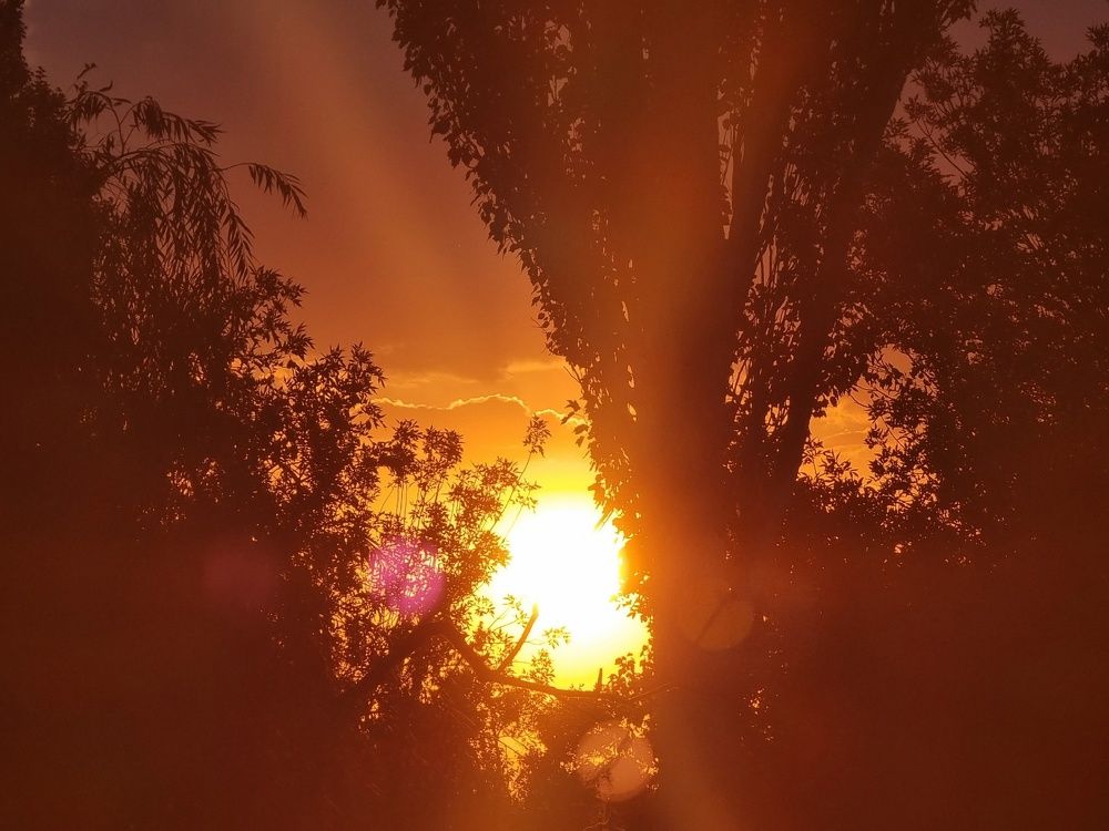 Photograph by Олег Валюнин