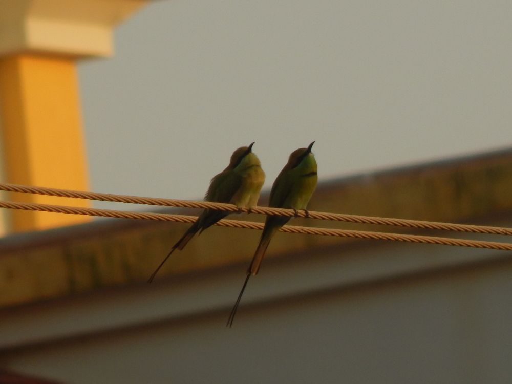 Photograph by Charmi Patel